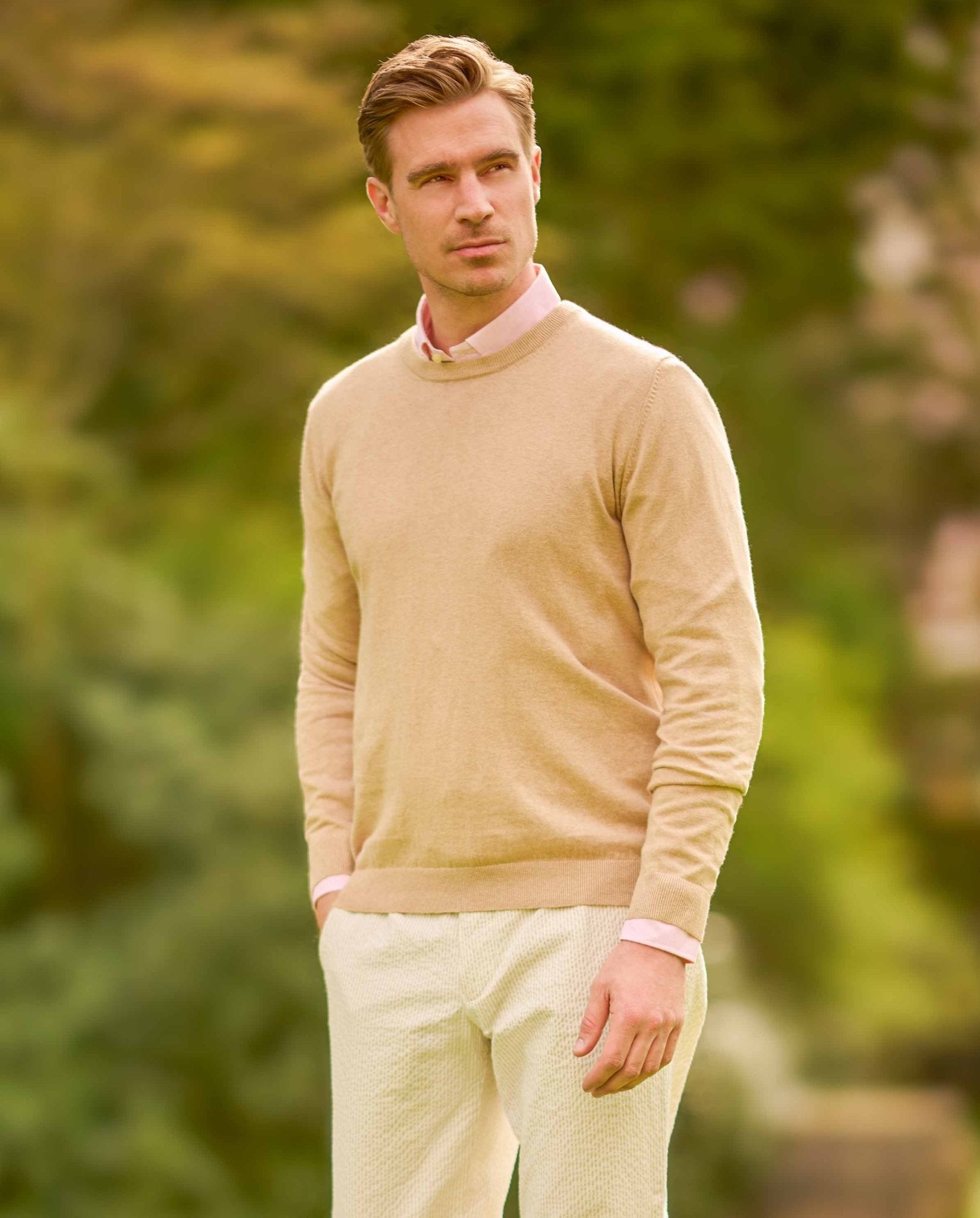 Herrenpullover Rundhals ''Till'' in beige - Wellington of Bilmore